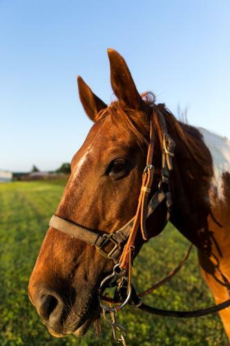 Hotel Wildcatter Ranch And Resort