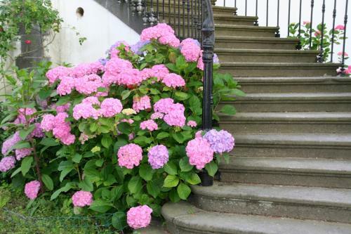 Bed & Breakfast Chambres D'h�tes Manoir de La Manantie