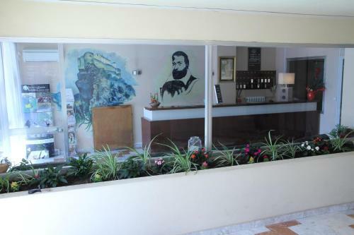 Hotel H�tel Sampiero Corso