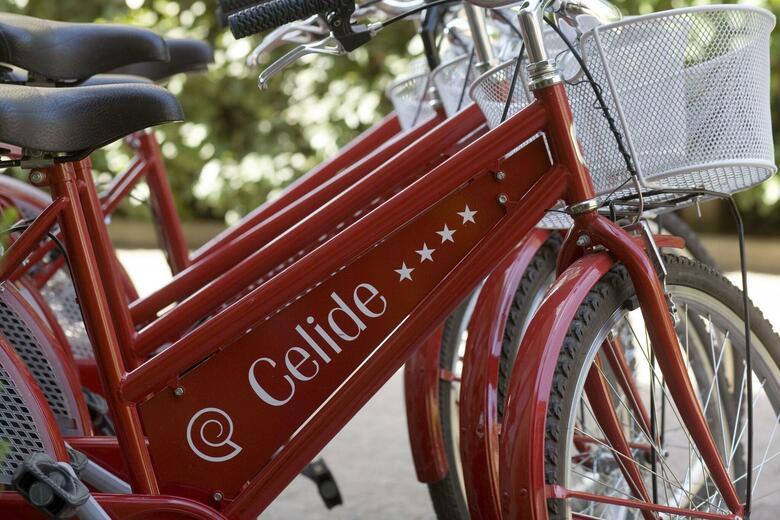 Hotel Albergo Celide