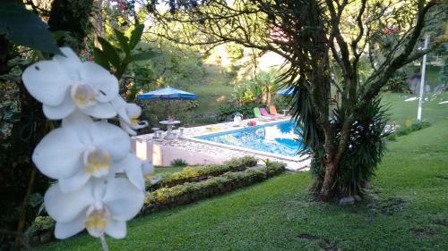 Hostal Pousada C�u De Luz