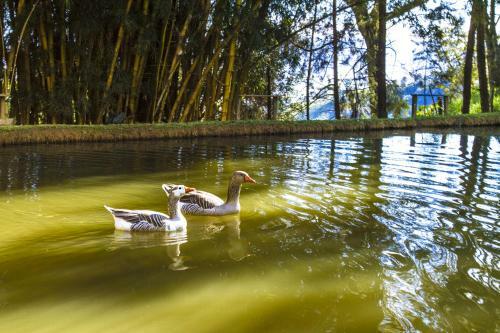 Hostal Pousada C�u De Luz