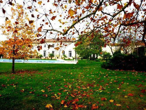 Bed & Breakfast Domaine Du Papillon