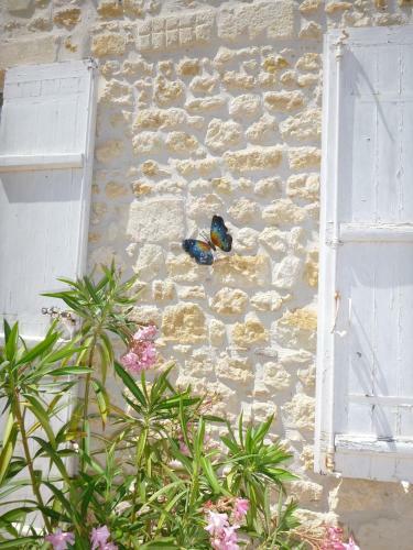 Bed & Breakfast Domaine Du Papillon
