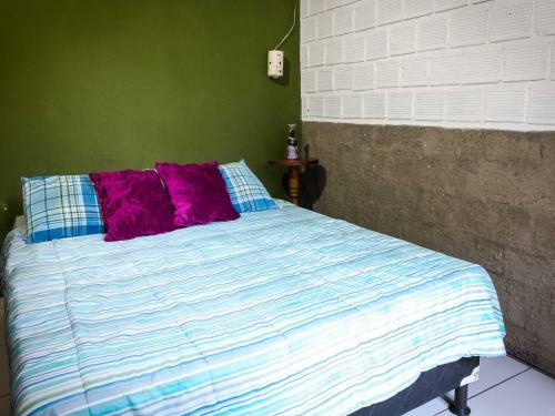Natu's Hostel
