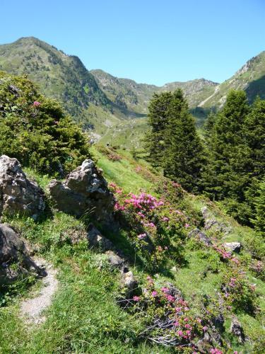 Bed & Breakfast Chambres D'h�tes Maison Cadet