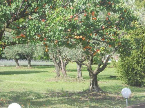 Bed & Breakfast Chambres D'h�tes Le Mas Du Platane