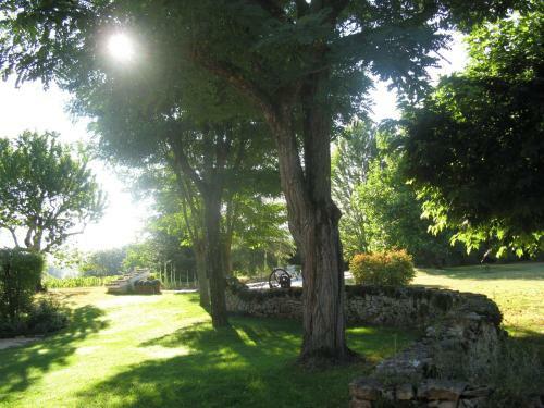 Bed & Breakfast La Theroniere