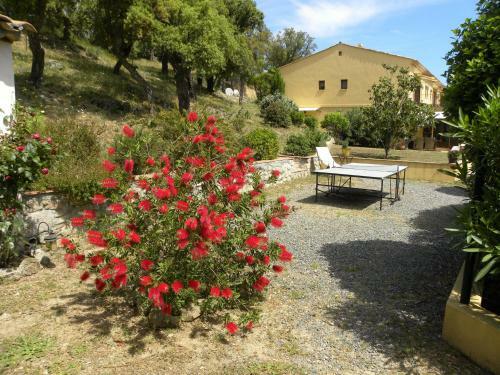Bed & Breakfast La Bergerie