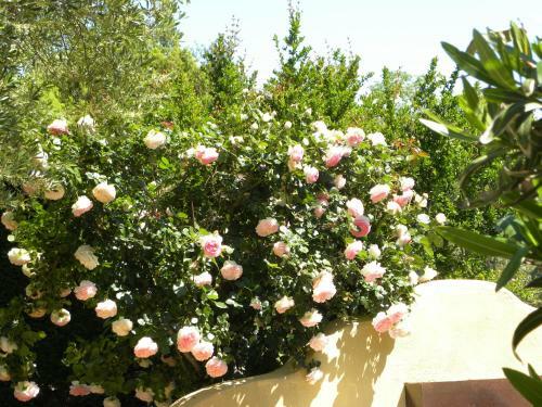 Bed & Breakfast La Bergerie