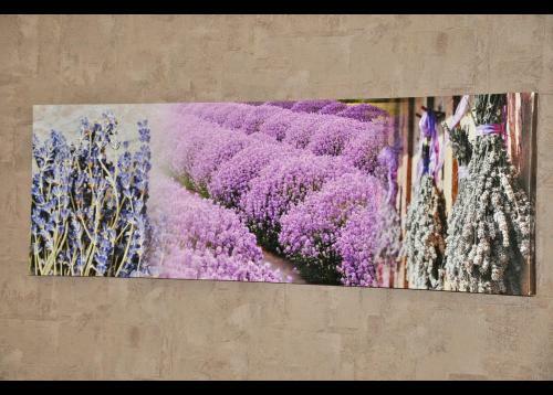 Hotel H�tel Select