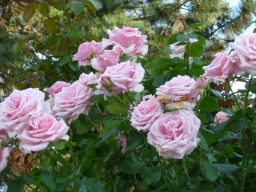 Bed & Breakfast Chambre D'h�tes Au Fil De L'eau