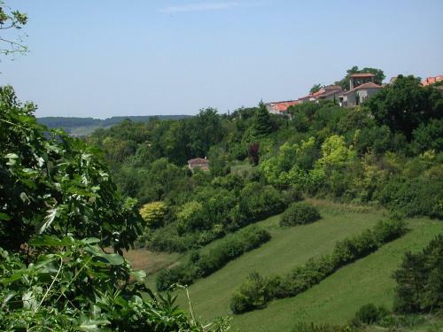 Camping Parc Du Ch�teau D'allot