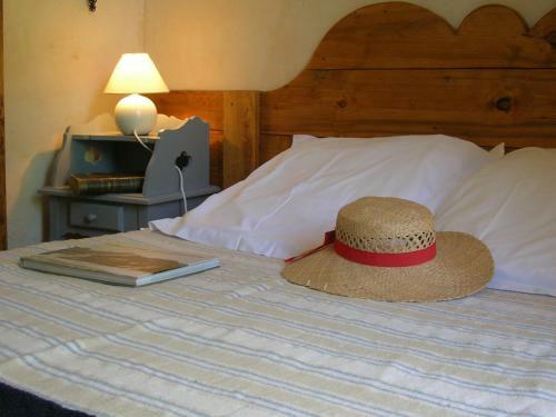 Hotel Ch�let H�tel D'ailefroide