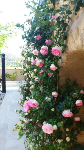 Bed & Breakfast Le Jour Et La Nuit, Maison D'h�tes