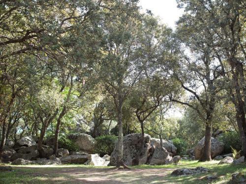 Camping La Vetta