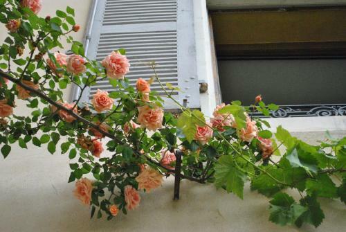 Bed & Breakfast Le Ragois