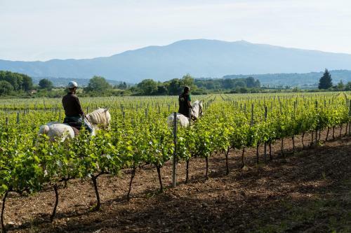 Ch�teau La Croix Des Pins