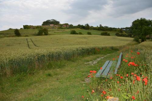 Bed & Breakfast La Petite Madeleine