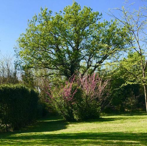 Bed & Breakfast Maison D'h�tes Campagne-baudeloup
