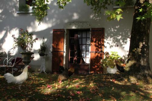 Bed & Breakfast Le Relais De La Tour
