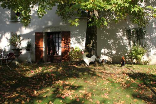 Bed & Breakfast Le Relais De La Tour