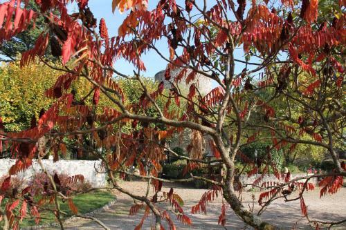 Bed & Breakfast Le Relais De La Tour