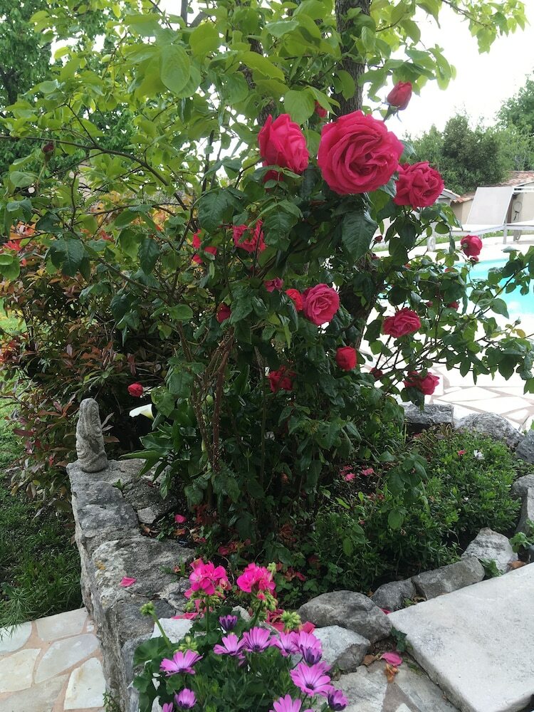 Bed & Breakfast Mas Des Kardouons