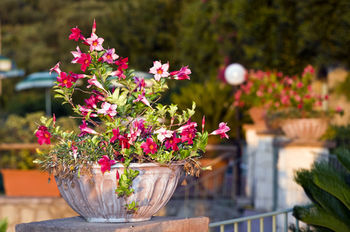 Hotel Poggio Del Sole