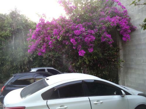 Apartamento Chal�s Xibayka Ilhabela