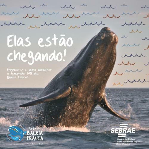 Hostal Pousada Vento & Cia