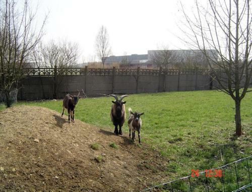 Bed & Breakfast Aux Plumes De Grigy