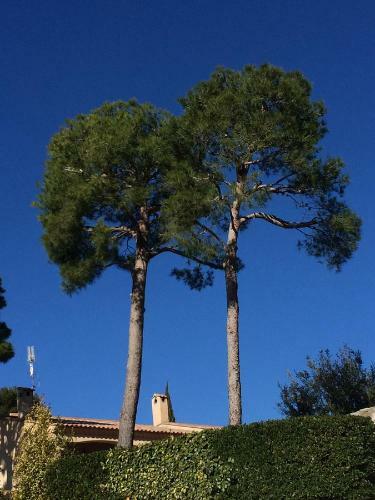 Apartamento Le Petit Cassis Vue Mer Appartement 70m2