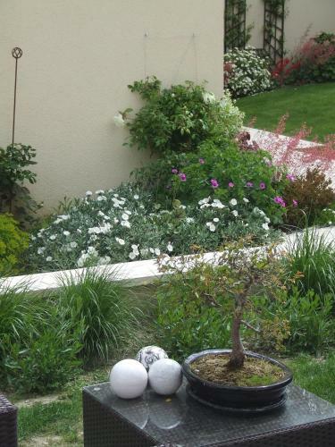 Bed & Breakfast La Colline