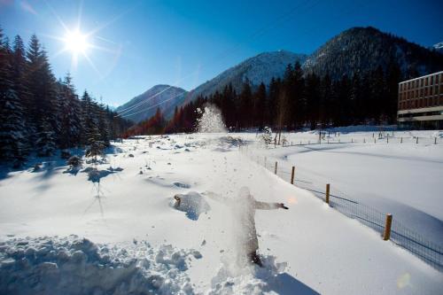 Alpenhotel Ammerwald