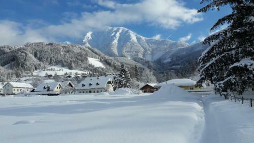Hotel Freunde Der Natur