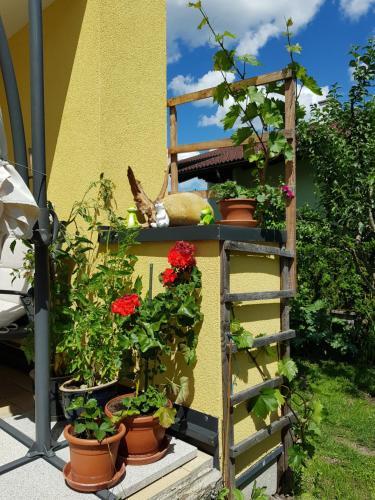Apartamento Appartement K�nigslehen