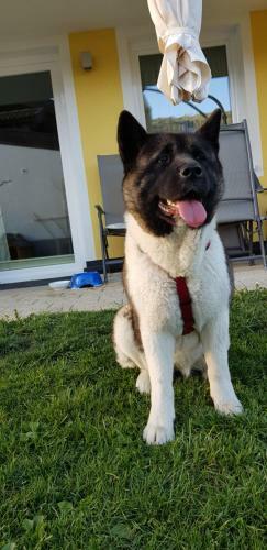 Apartamento Appartement K�nigslehen