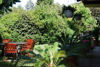 Aparthotel Residenze Al Colle Dei Pini