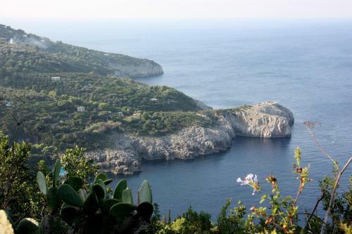 Hotel Al Mulino