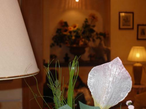 Hotel Lento