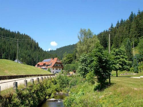Apartamento G�stehaus Schoch