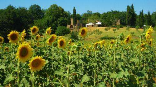 Agroturismo Agriturismo Natura E Salute