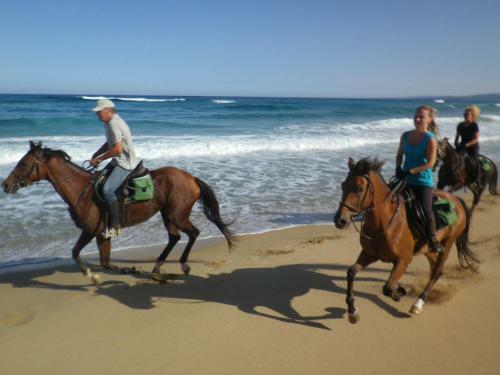 Centro Di Turismo Equestre B&B Shangril�