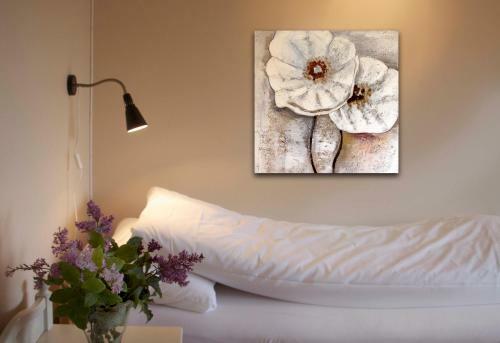 Bed & Breakfast Tynset Rom &amp; Camping