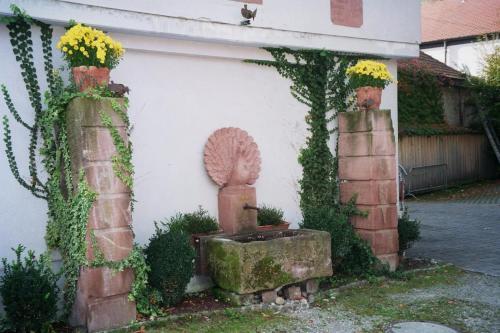 Tiptop Hotel Garni Pfauen