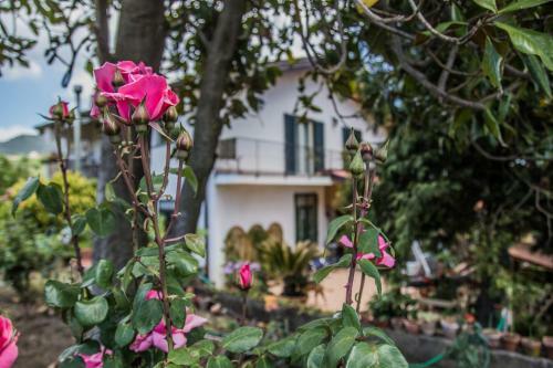 Casa Cl�