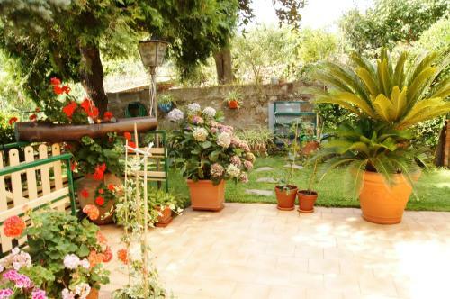 Casa Cl�