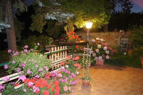 Casa Cl�