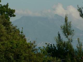 Bed & Breakfast Residenza Le Rose
